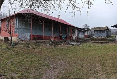 Casă cu 3 camere cu Teren 2030 Mp în Chiraftei - 2