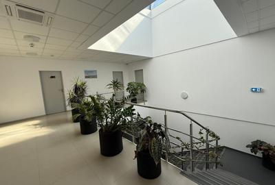 De vanzare Hală industrială Pallady -Drumul Intre Tarlale, 3600 mp - 23