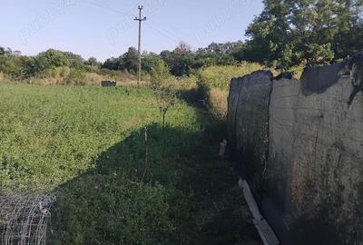 Casă cu Teren 1000 Mp în Gliganu de Sus