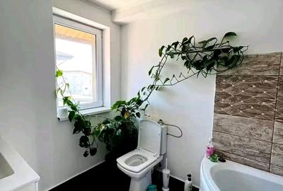 Casă cu 5 camere cu Teren 520 Mp în Pantelimon - 18