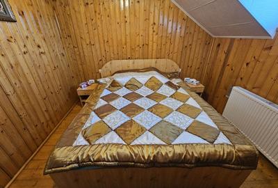 Vila 7 camere 320 mp- Valea Neagra-Prahova, mobilata/utilata complet! - 19