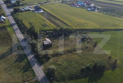 Teren intravilan 7500 mp , 100ml front la E85, Ratos, Radaut - 3