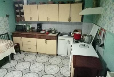 Casă cu 2 camere cu Teren 240 Mp în Sighetu Marmației - 6