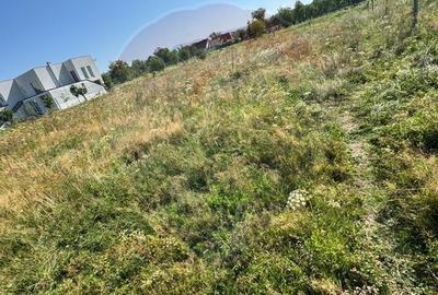 Teren 720mp Sighetu Marmatiei / Strada Lazul Sesului - 1