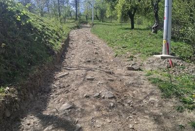 Spațiu comercial, în Valea Vișeului - 3