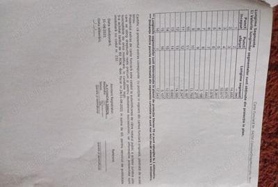 Casă cu 2 camere cu Teren 1000 Mp în Nuci - 7