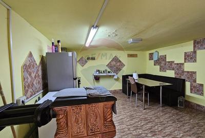 Casă cu 6 camere cu Teren 10331 Mp în Sohodol - 31