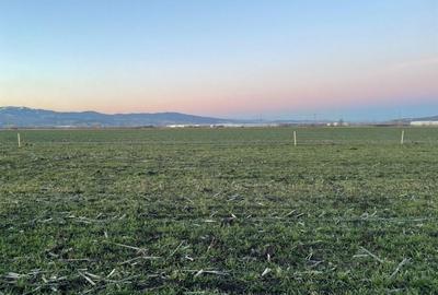 Spațiu comercial, în Central - 6