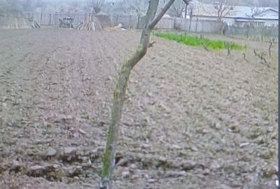 Teren în Central - 10