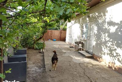 Casă cu 4 camere cu Teren 340 Mp în Giurgiului - 6