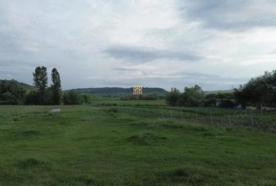 Teren 3953 mp Falticeni Tarna Mare De Vanzare 0727817187 - 5