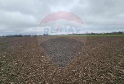 Teren Construcții intravilan de 5000 mp, în Adunații-Copăceni - 5