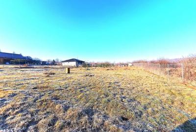 Descoperă Terenul Ideal: 390mp în Daia, Sibiu - 3