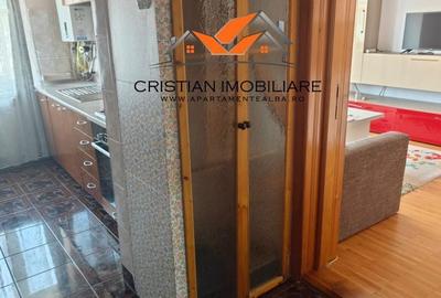 Apartament cu 2 camere semidecomandat în Cetate - 5