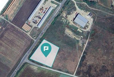 Teren de 5000 mp, în Ciumeghiu - 3