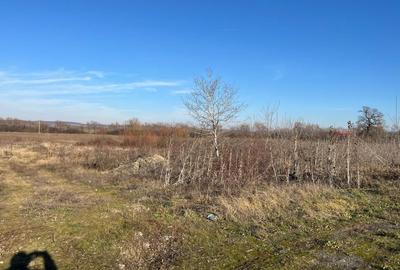 Teren Construcții intravilan de 27921 mp, în Săcădat - 3