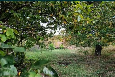 Casă cu 2 camere în Schitu Duca - 1