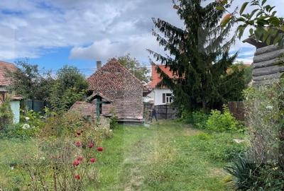 Casa taraneasca in centrul localitatii Ilieni – teren 832 mp. - 3