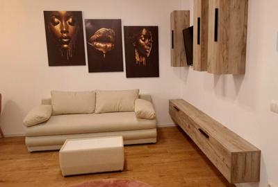 Apartament cu 2 camere semidecomandat în Vasile Alecsandri - 11