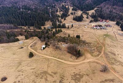 Teren Construcții intravilan de 6500 mp, în Poiana Brașov - 1