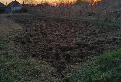 Casă cu 3 camere cu Teren 10000 Mp în Central - 8