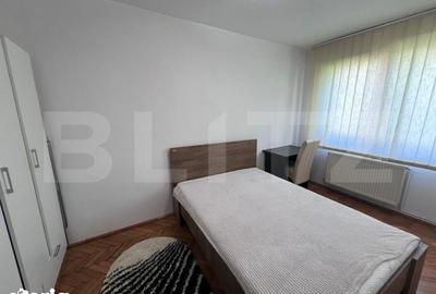 Apartament cu 2 camere decomandat în Gruia - 4