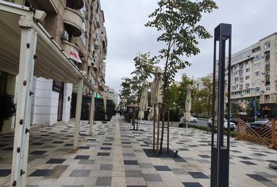 Spatiu comercial, stradal , de inchiriat in Bdul Decebal - 15