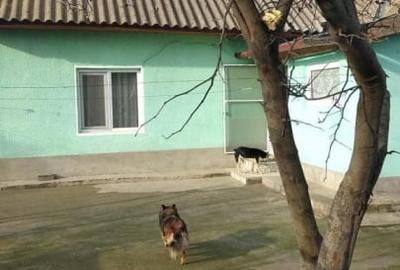 TURDA- CASA  4 CAMERE TEREN 1500 MP - 3