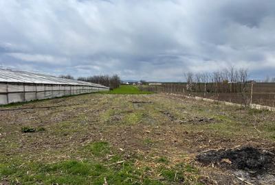 Teren agricol intravilan de 6100 mp, în Corod - 2