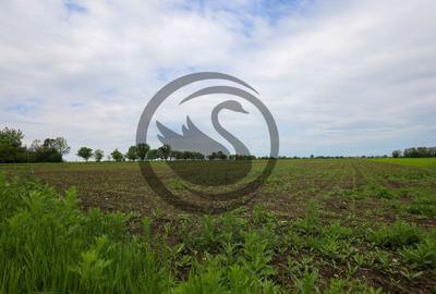 Teren de vanzare in Manesti, Prahova | 18.000 mp | Deschi... - 9