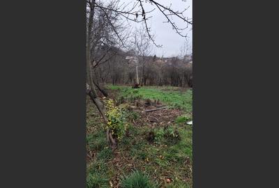 Casa Baicoi caramida 135 mp - 13