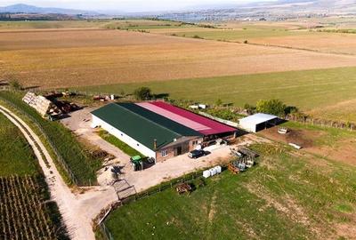 FILM! 18.000 mp,extravilan,agricol+constructii, recomandat:ferma,investitii agri - 10
