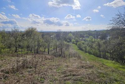 Vanzare teren 4606 mp - Sat Balta - Runcu - la aproximativ 20 km de Targu Jiu - 2