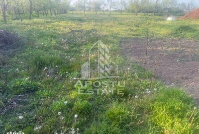 Casă cu 3 camere cu Teren 1439 Mp în Remetea Mare