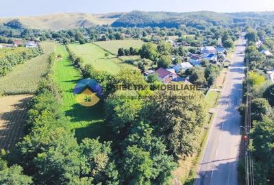 TEREN intravilan  6764 mp DRAGOMIRESTI - VAD - 2