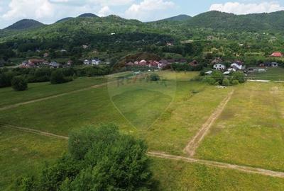 NOU - TEREN DE VANZARE - Cicarlau - 3