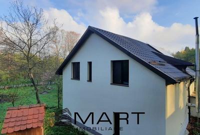 Casa de vacanta pe valea Avrigului - 3