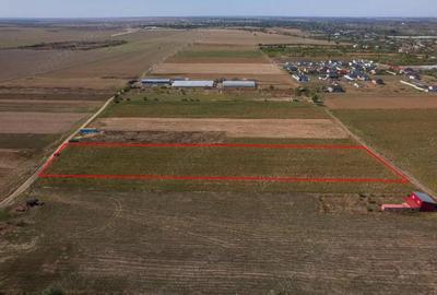 Adunatii Copaceni - Troitei | teren 6 525 mp | zona in dezvoltare - 7