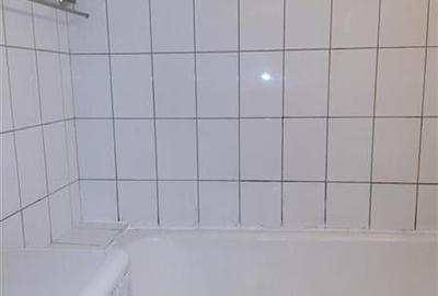 Vanzare 2 camere Mosilor - 5