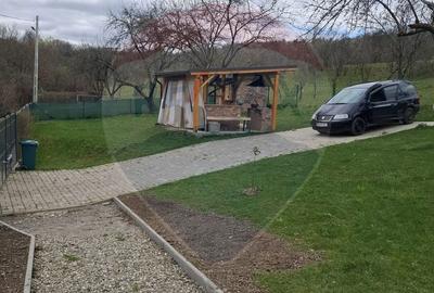 Casă cu 3 camere cu Teren 1256 Mp în Bârsana - 7