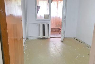 Lacul Tei  Teiul Doamnei  Colentina - 19