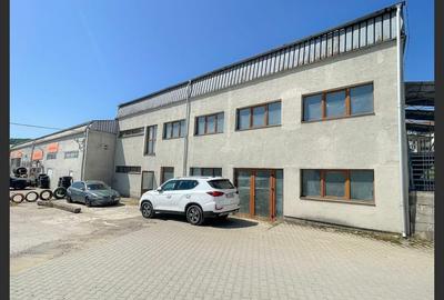 Spatii multiple pentru inchiriat Calea Timisoarei - 2