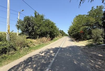 Teren de 15000 mp, în Aroneanu - 5