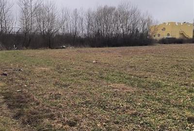 Teren agricol extravilan de 21800 mp, în Gruiu - 3