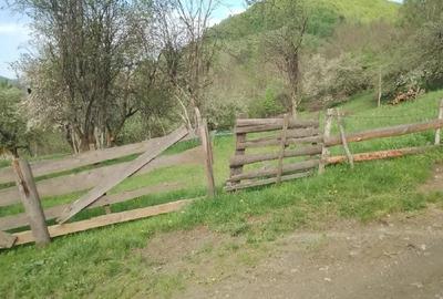 Spațiu comercial, în Vidra