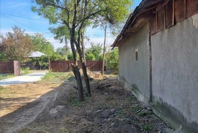 Baldana/Tartaresti/Teren intravilan /extravilan+casa/ - 6