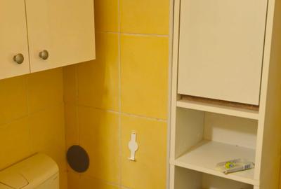 Garsonieră decomandată în Terezian - 7