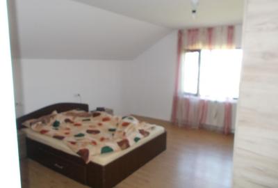 Casă individuală cu 4 camere cu Teren 1190 Mp în Parța - 8