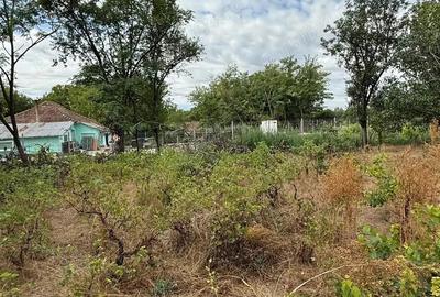 Casă cu Teren 1000 Mp în Vâlcelele - 2