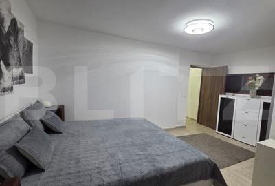 Apartament cu 3 camere decomandat, mobilat în Calea Severinului - 9